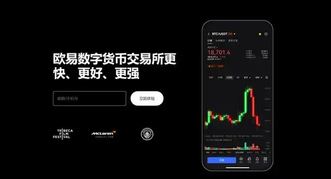 ok虚拟交易平台下载页面展示